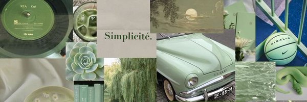 sppnsj Profile Banner