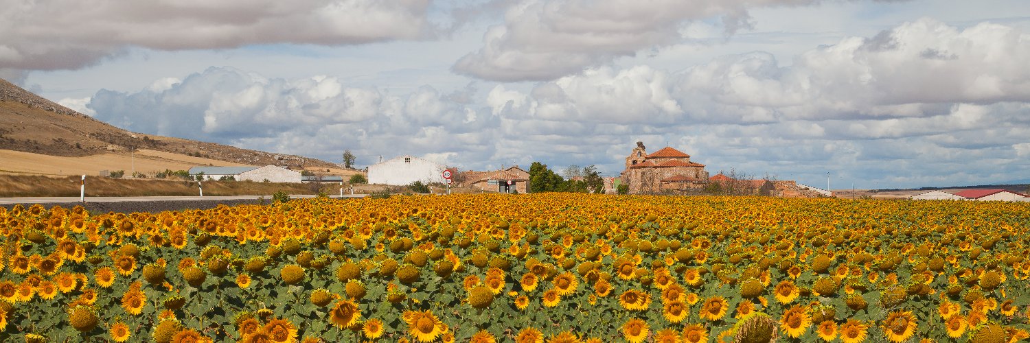 It's a Beautiful Life banner
