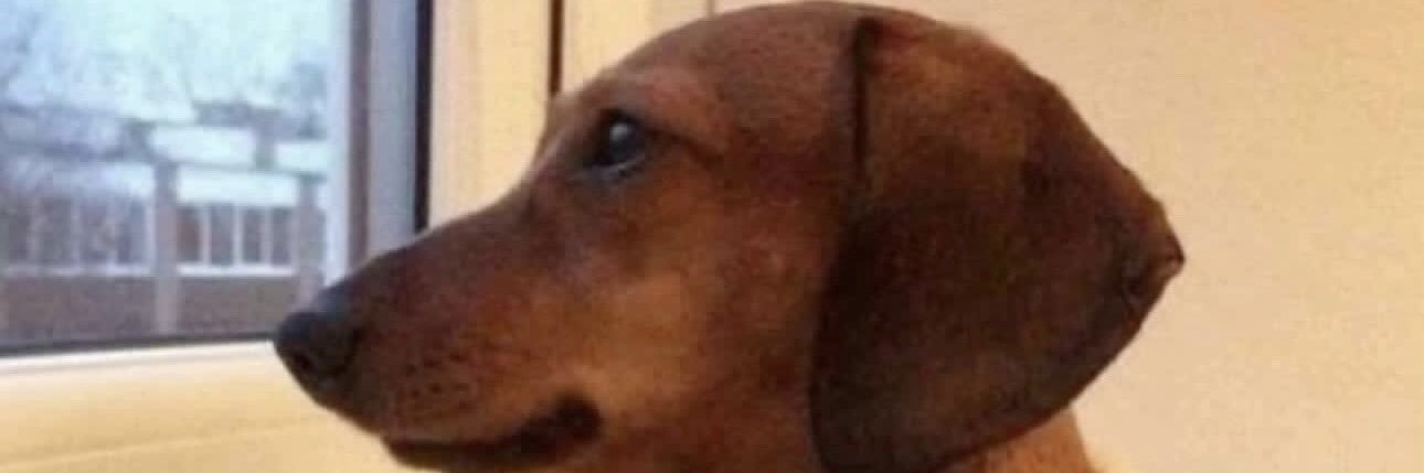 Dr.PepperQueen banner