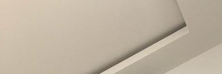 🦊 banner