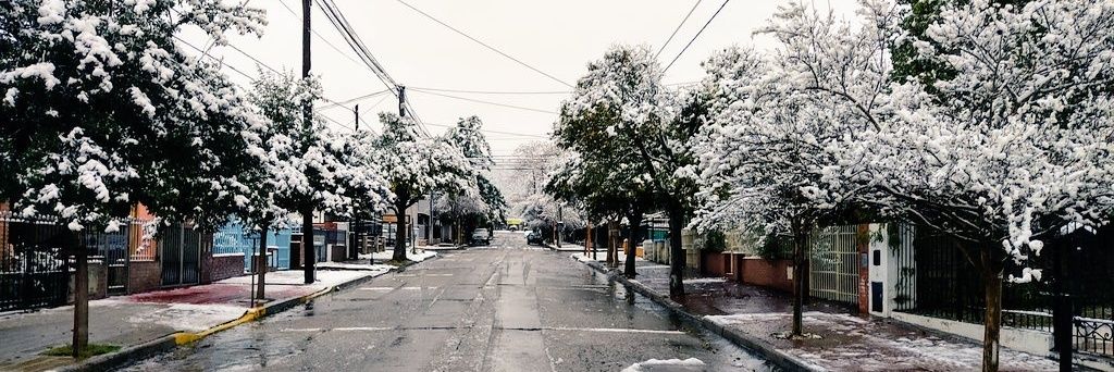 rodribotta's profile banner image