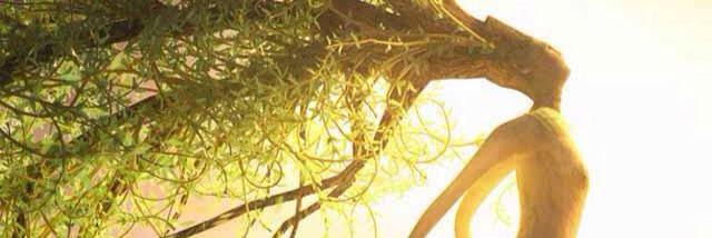 Mo0nse0806's profile banner image