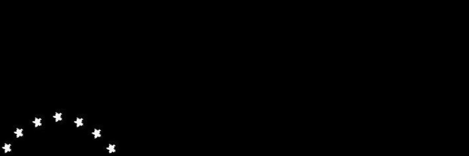 RzN banner