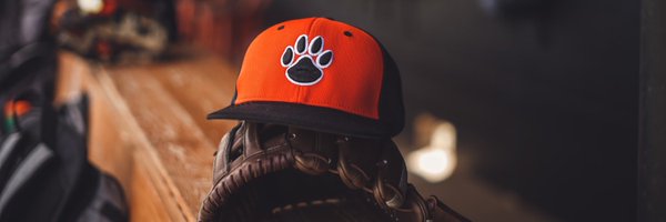 ECUTigersBSB Profile Banner