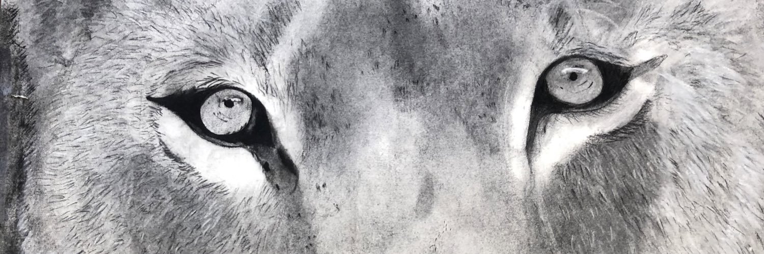 Capr28's profile banner image