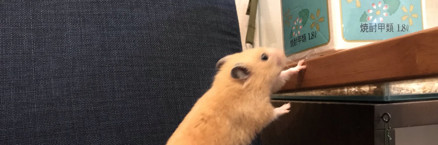 nomitarinaine's profile banner image