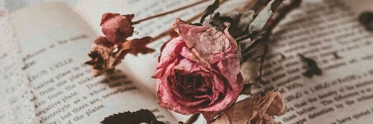 ɢᴀʀɴᴇᴛˏˋ°•*⁀➷ banner