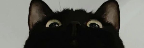 omi_mtrigger Profile Banner