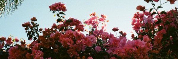 Ton_Bon Profile Banner