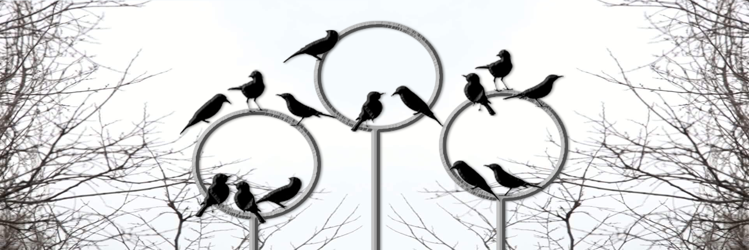 BlackBirdsTeam's profile banner image