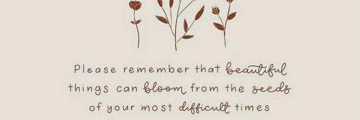 Melissa_Ryley's profile banner image