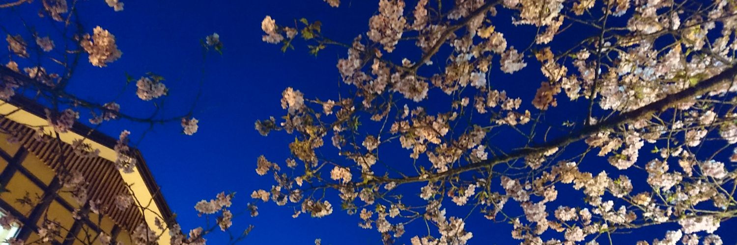 ★こまこま✴🔺✈白.晝.夢★ banner