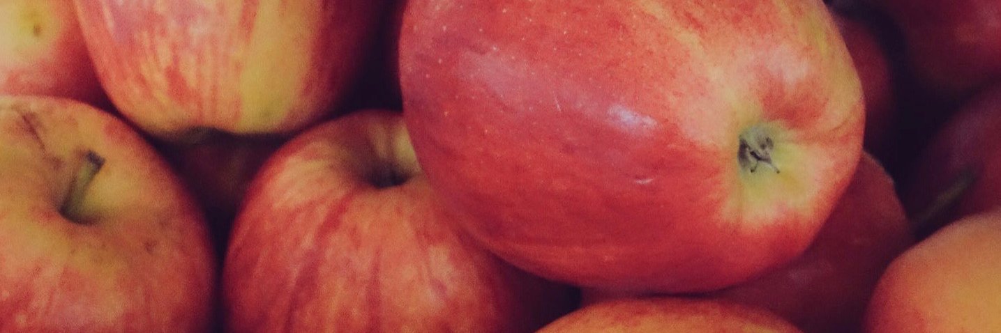 Cone & Steiner banner