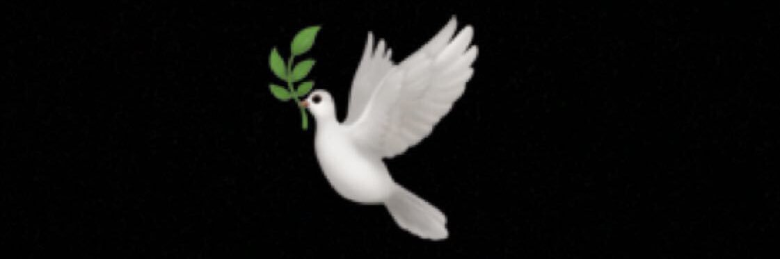 NavySp's profile banner image