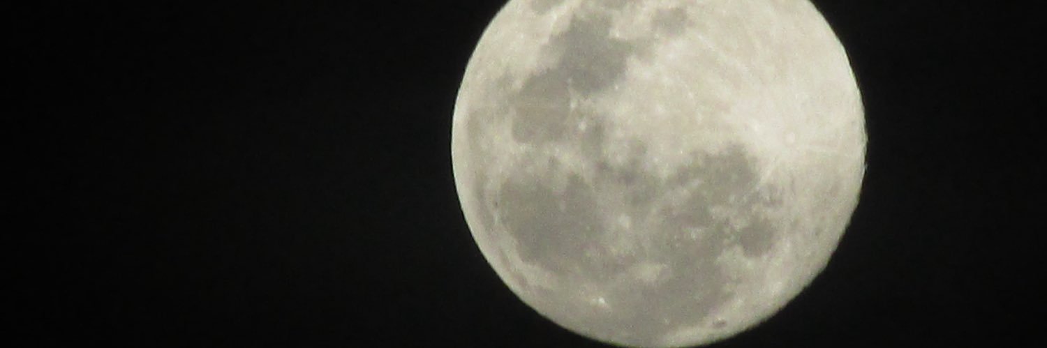 absolutvodka333's profile banner image