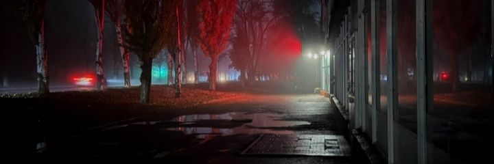 SoloVero banner