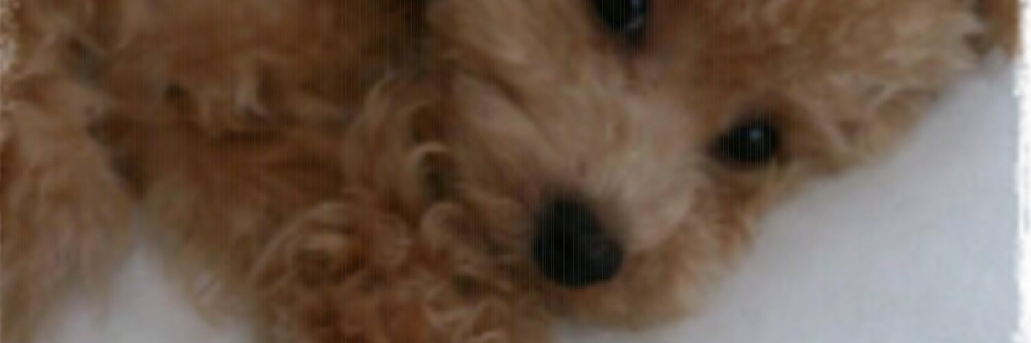 mii_3175's profile banner image