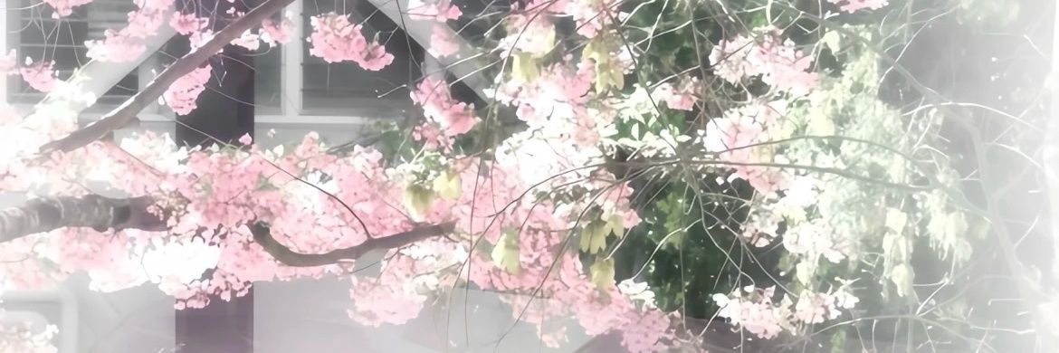 CAICAI0003's profile banner image