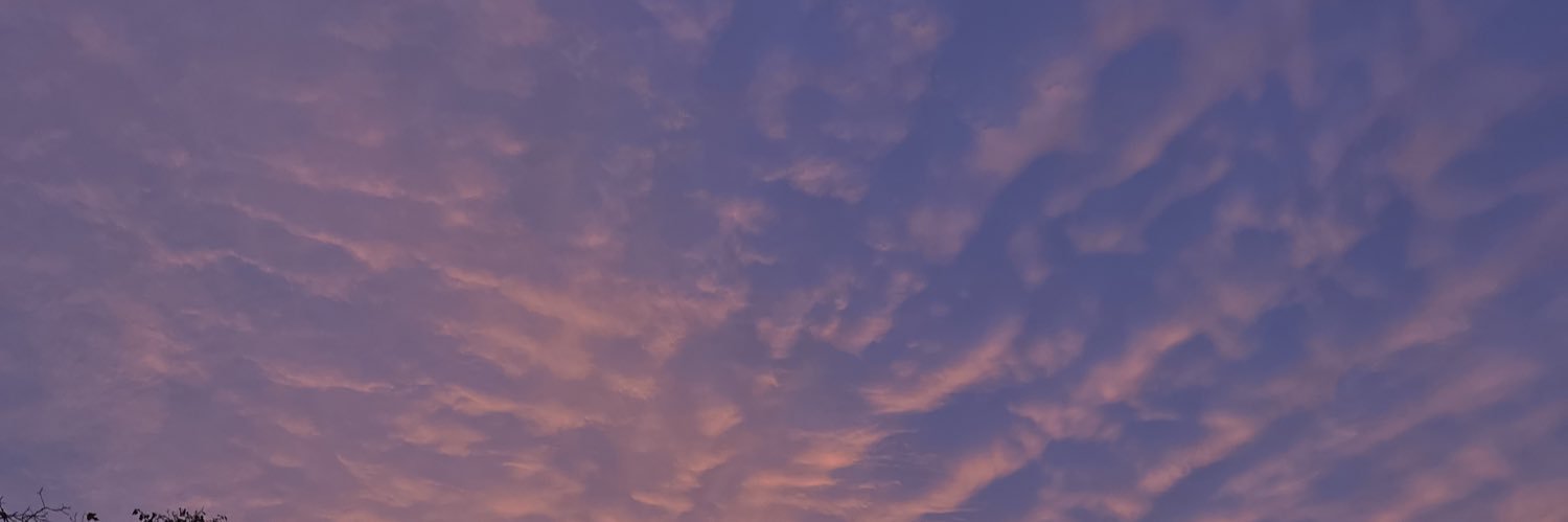 TyDimp's profile banner image
