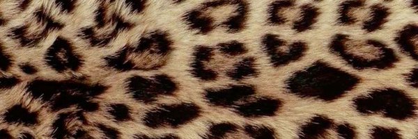 balbademsi3 Profile Banner