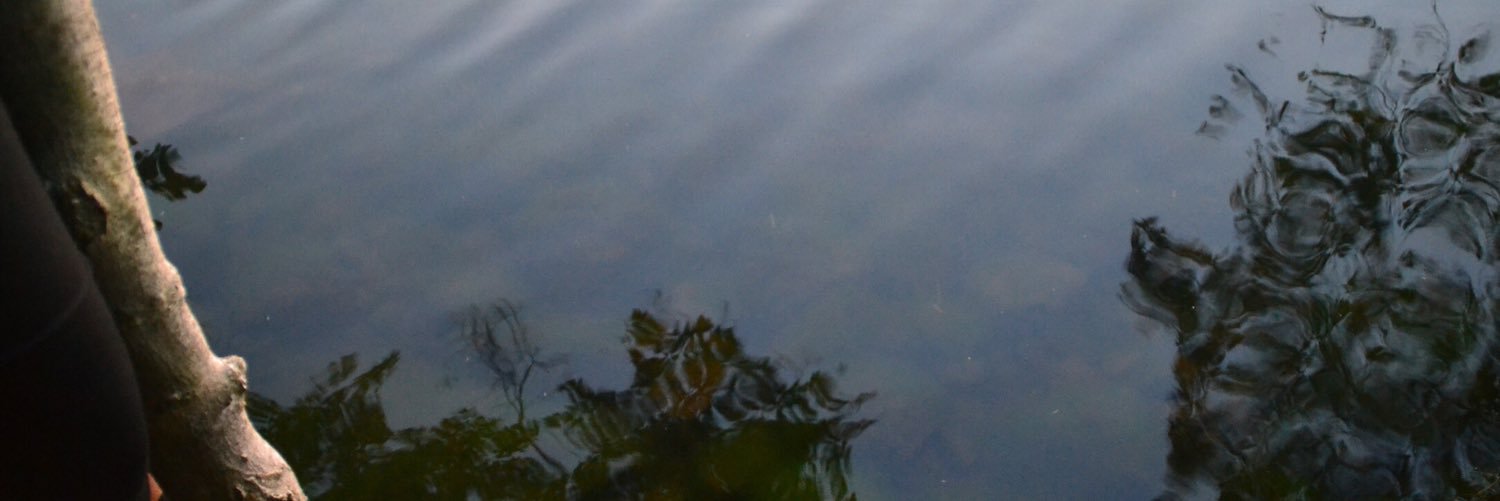 sannss_'s profile banner image