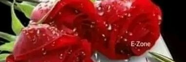 mianjee2240's profile banner image