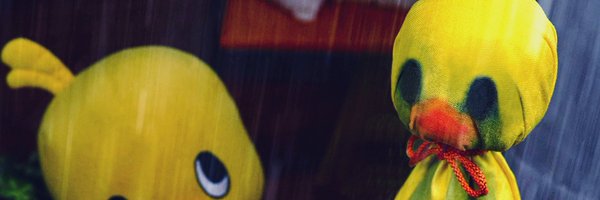 wanwan_xp Profile Banner