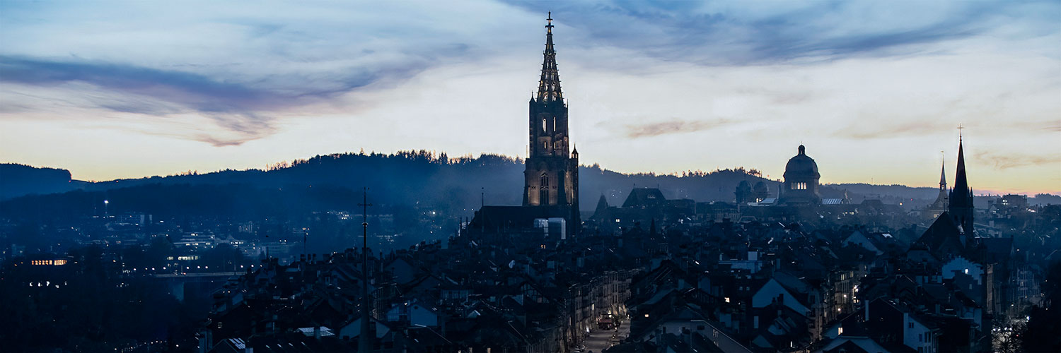 Bern Security Dialogue banner