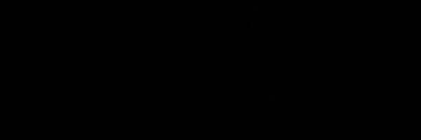 1wickedwick Profile Banner
