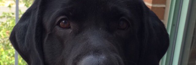 jtdant's profile banner image