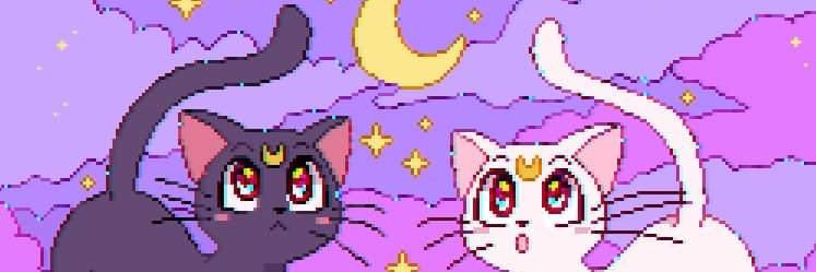 stachelee's profile banner image