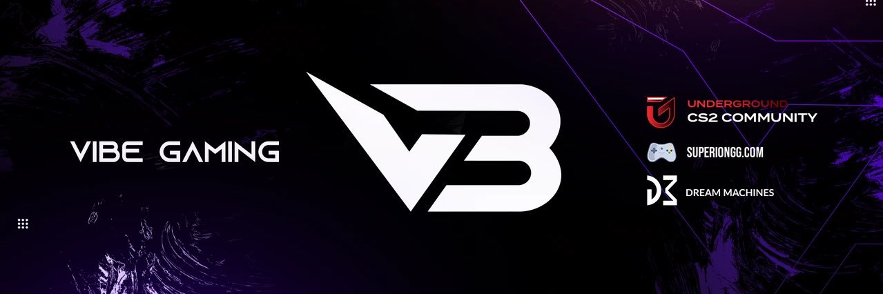 ViBe Gaming CS2 banner
