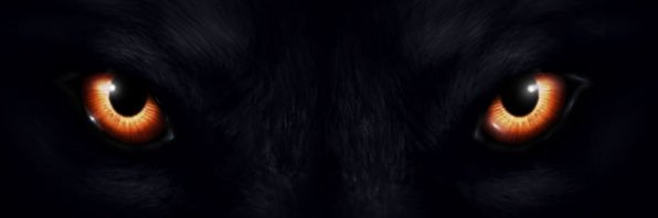 David Griffin banner