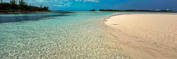 237LAC Profile Banner