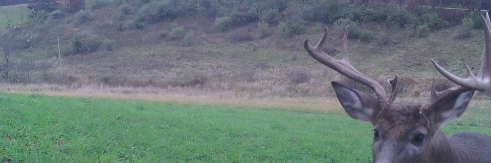 Rspnsblty199's profile banner image