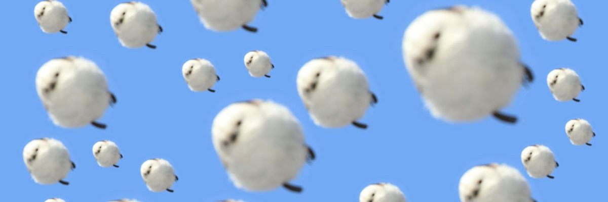 aruxsora8's profile banner image