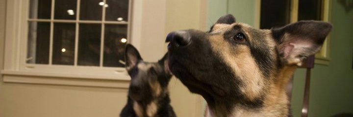 walkthelight's profile banner image