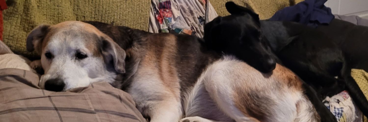 ZacharyMoon_'s profile banner image