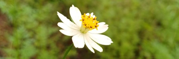 SolMarce74 Profile Banner