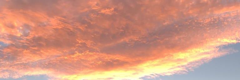 ines_rd1's profile banner image