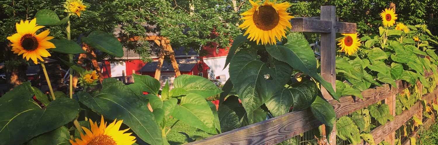 jess_s_9's profile banner image