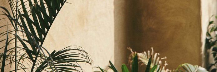 travierose's profile banner image