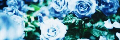 kelseyweideman's profile banner image