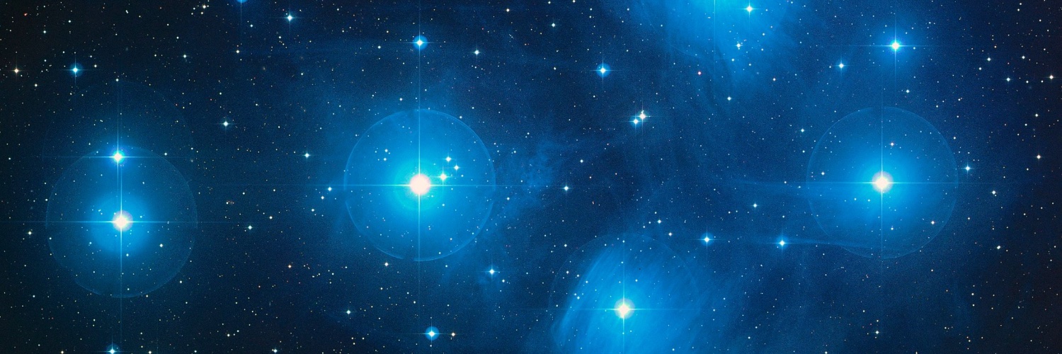 Heeler Prime's banner