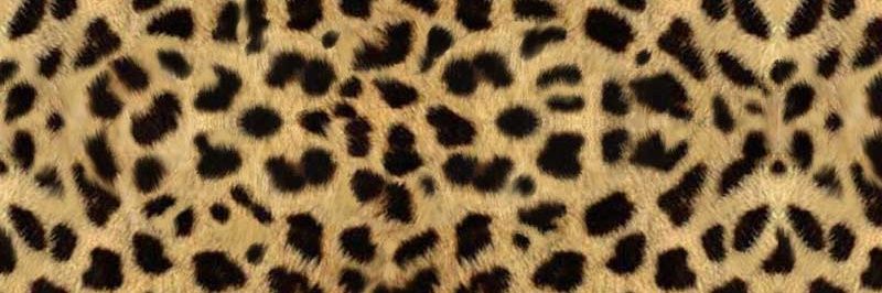 Ayetoledoo's profile banner image