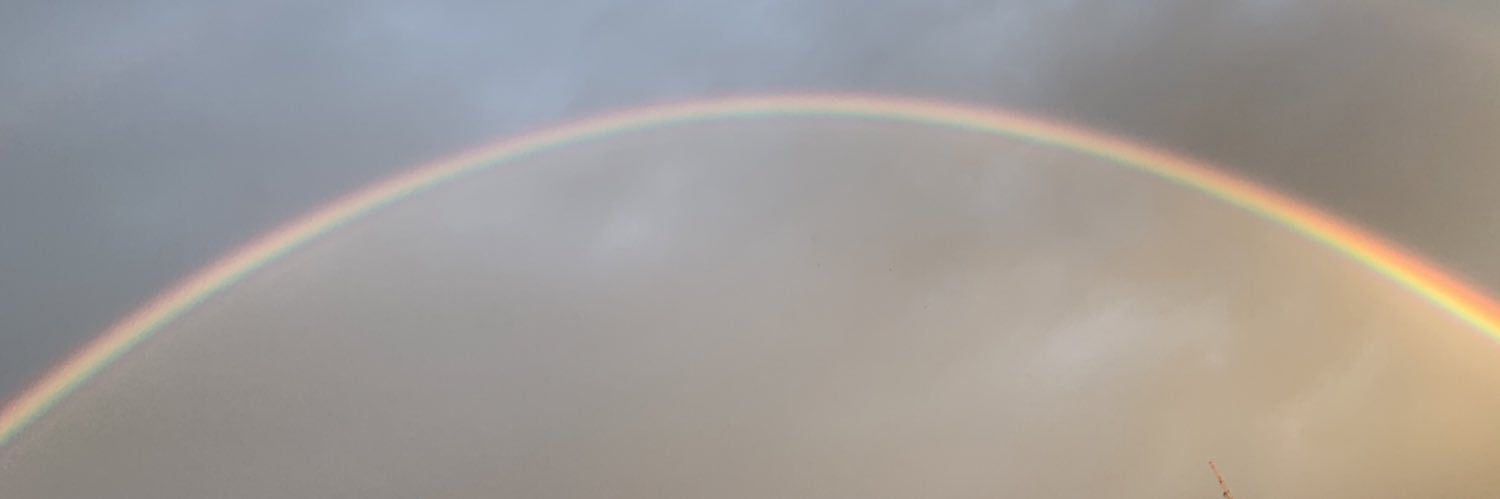 lpicci_'s profile banner image