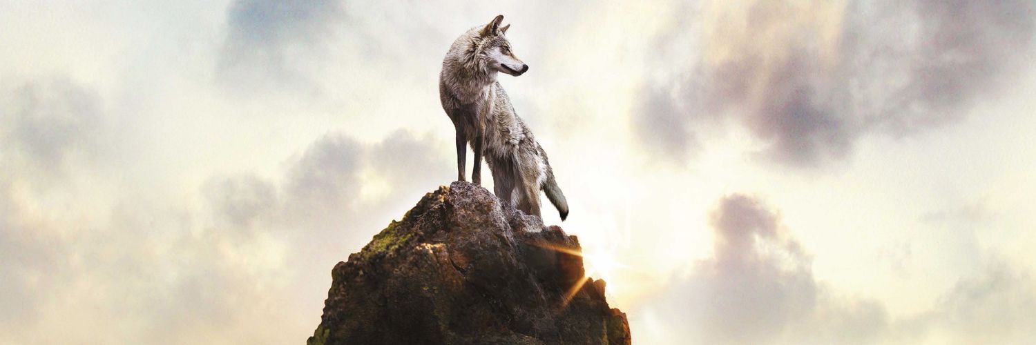 light_warrior20's profile banner image