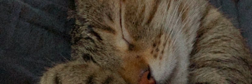 ecedikilitas's profile banner image