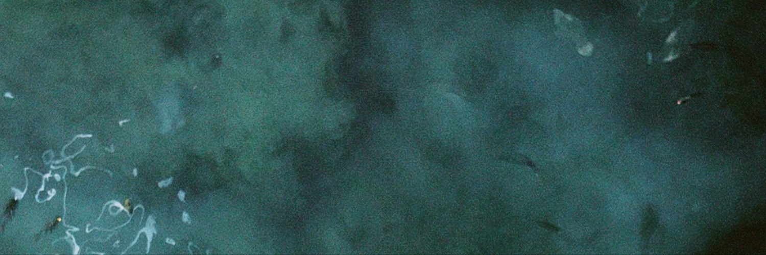 WidiaR_'s profile banner image