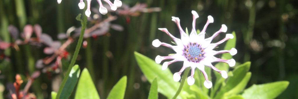 Fuel Becomes You banner